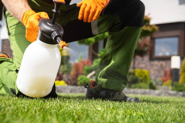 Best Emergency Pest Control  in Moore, OK