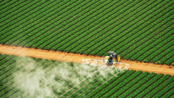 Best Mosquito Control Services  in Moore, OK