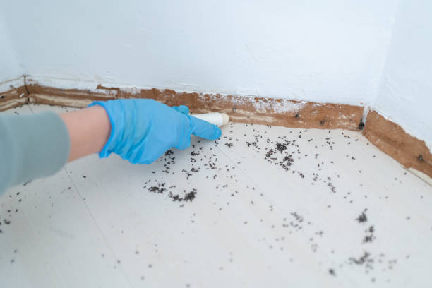 Best Exterminator Services  in Moore, OK